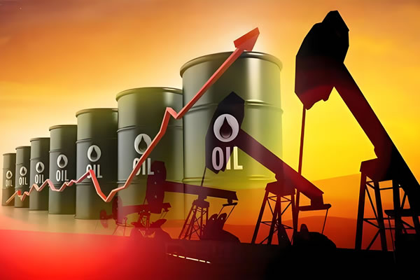 INTERNATIONAL CRUDE OIL IMPORT BUSINESS